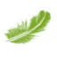 Gavage, abattage, plumage