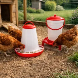 Abreuvoirs pour hydratation optimale 