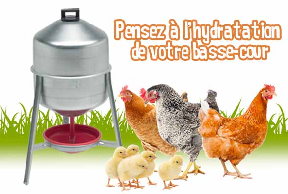 Abreuvoir 30L poules en mtal