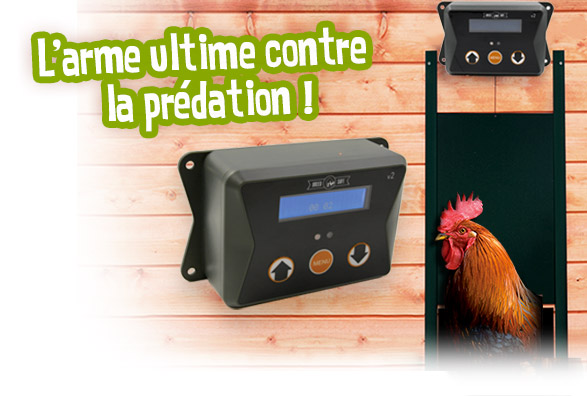 Porte automatique poulailler Breedsafe V2