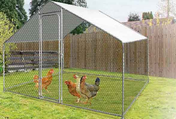 Le Bien être De Vos Animaux Vive Lelevage