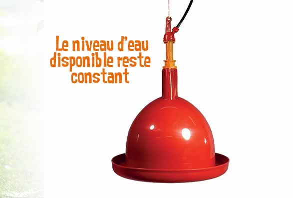Abreuvoir automatique volaille