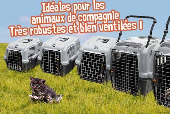 Cage de transport norme IATA
