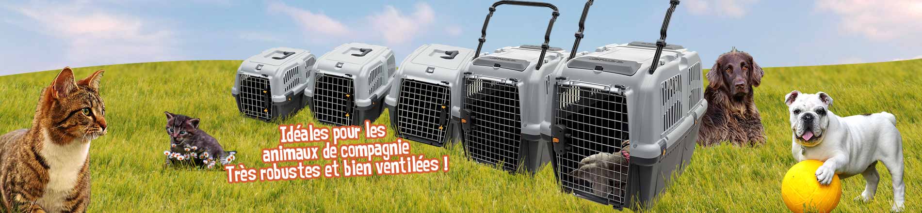 Cage de transport norme IATA