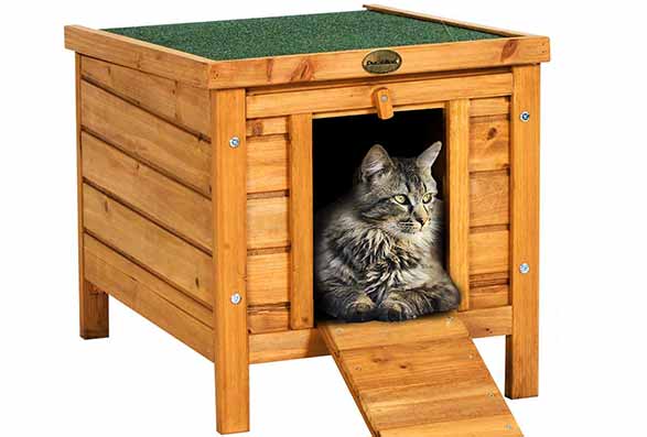Niche pour chat