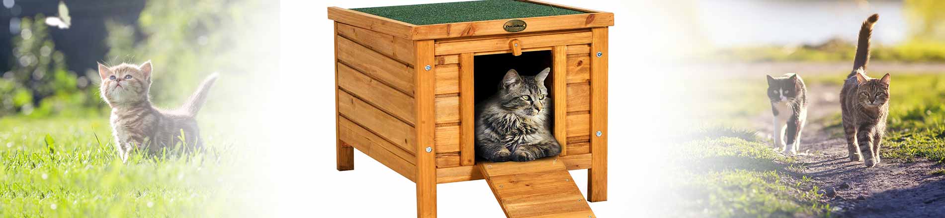 Niche pour chat