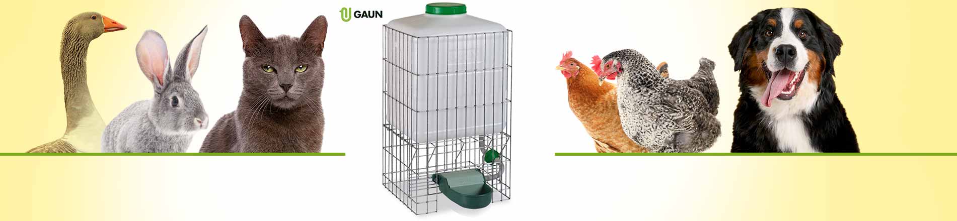 Abreuvoir automatique multi-animaux