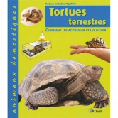 TORTUES TERRESTRES ANIMAUX DOMESTIQUE