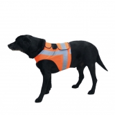 Gilet fluo pour chien 