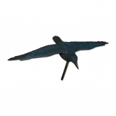 Appelant corbeau ailes deployees