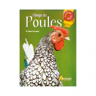 L'levage des poules