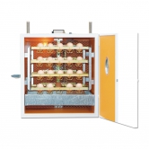 Couveuse automatique 140 oeufs Fiem
