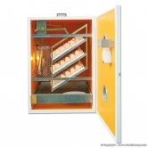 Couveuse automatique 316 oeufs Fiem