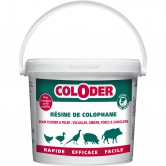 Résine de colophane en poudre - Saniterpen