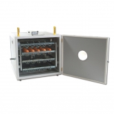 Couveuse automatique 140 oeufs Fiem