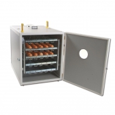 Couveuse automatique 250 oeufs Fiem
