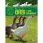 Livre : L'levage des oies et des canards