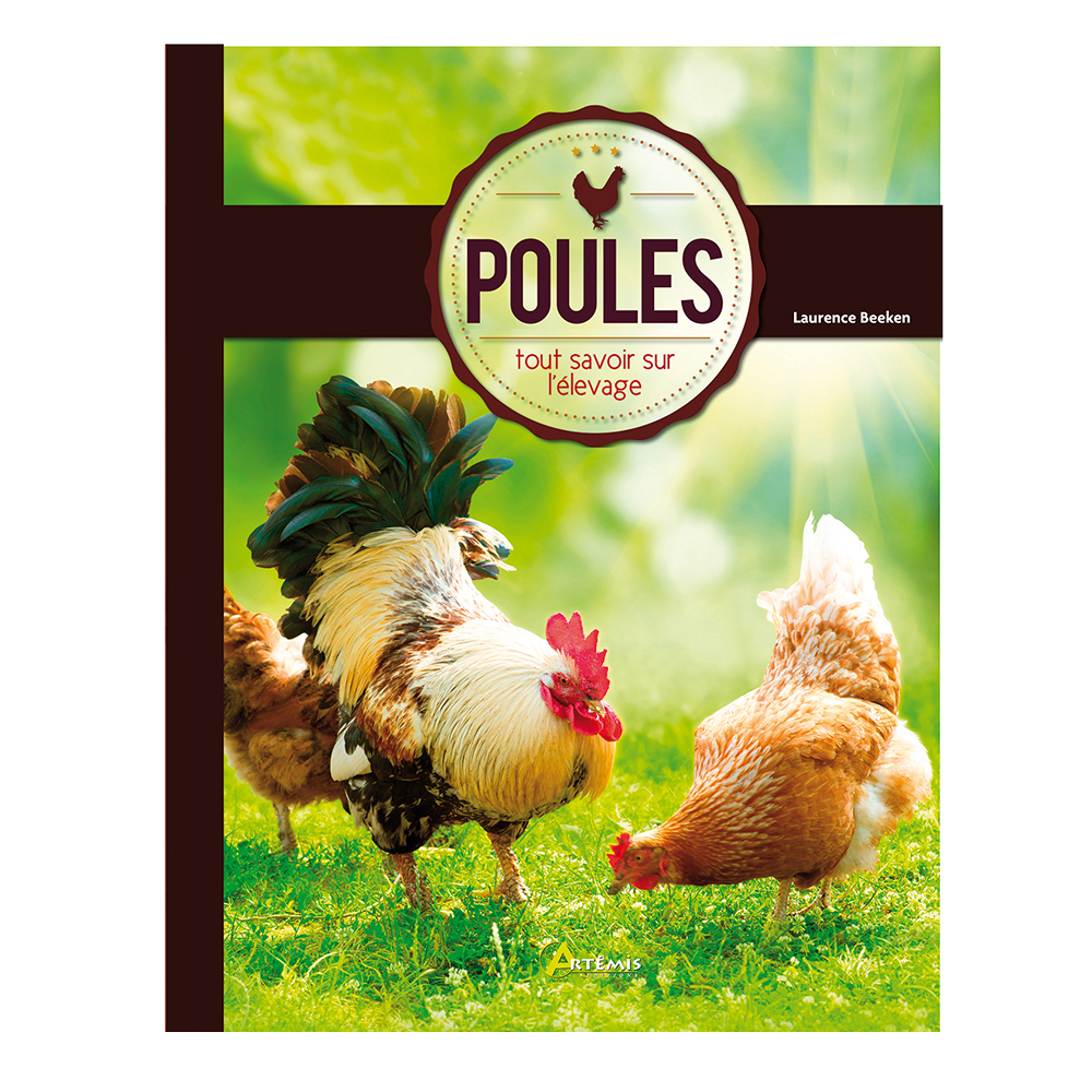 business plan elevage de poules pdf