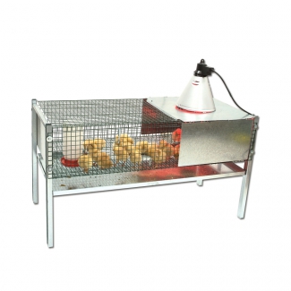 kit cage eleveuse 220 volts enclos poussin