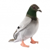 Peluche pigeon voyageur