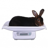 Balance  lapin 20kg