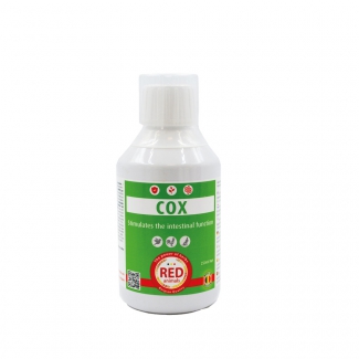 COX 250ml complément alimentaire problèmes digestifs - RED ANIMALS