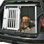 Box de transport pour chiens 2 portes