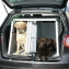 Box de transport pour chiens 2 portes