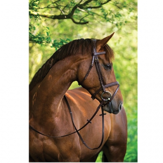 Bridon Classic en cuir brun cheval de selle