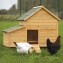 Poulailler Confort en bois de pin jusqu' 3 poules