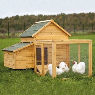 Poulailler confort enclos en pin traité idéal 2 à 3 poules