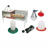 Kit élevage poussins confirmé