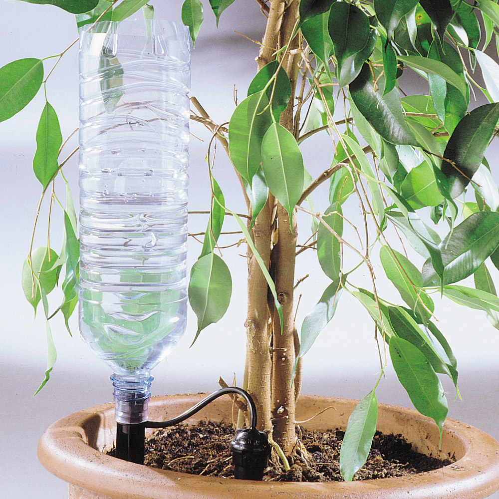 Dispositif d'irrigation goutte à goutte pour plantes d'intérieur