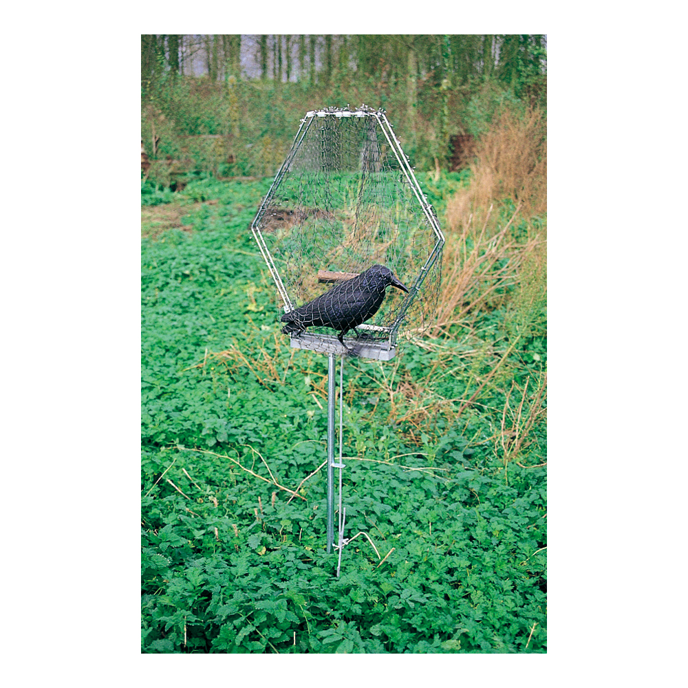 Piège oiseaux Antinuisibles Vive l'elevage Piège oiseaux Antinuisibles Vive l'elevage