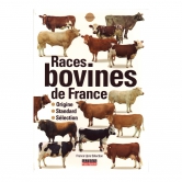 Races Bovines Française