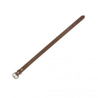 collier rivet simple  25mmx61cm
