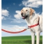 Harnais chien Easy Walk rouge L
