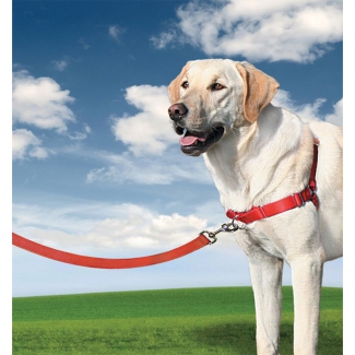 Harnais chien Easy Walk rouge L