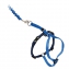 Harnais+laisse chat Easy Walk bleu L