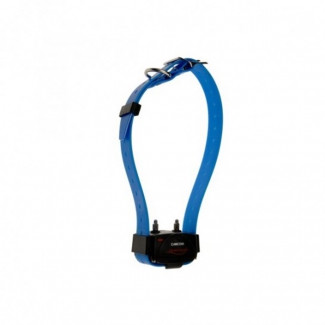 Collier supplmentaire Canicom bleu