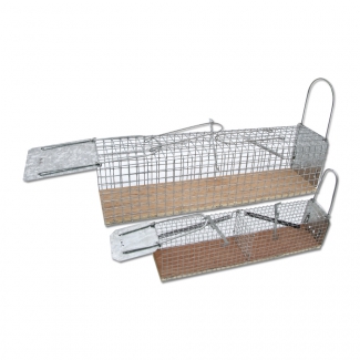 pige cage  rats 2 entres