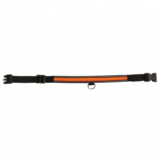 Collier Lumineux Pour Chien Orange