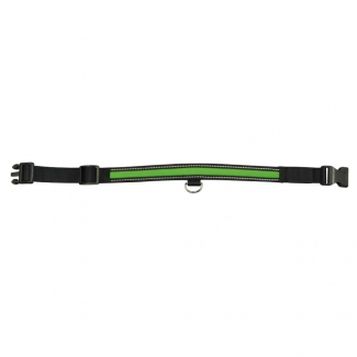 Collier Lumineux Pour Chien Vert