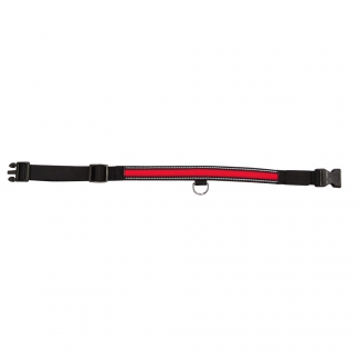 Collier Lumineux Pour Chien Rouge