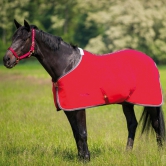 Chemise polaire