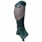 Chaps Bicolore Strauss