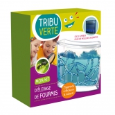 Kit d'élevage fourmis