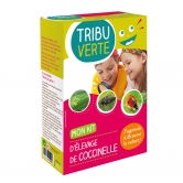 Kit d'élevage cocinnelle