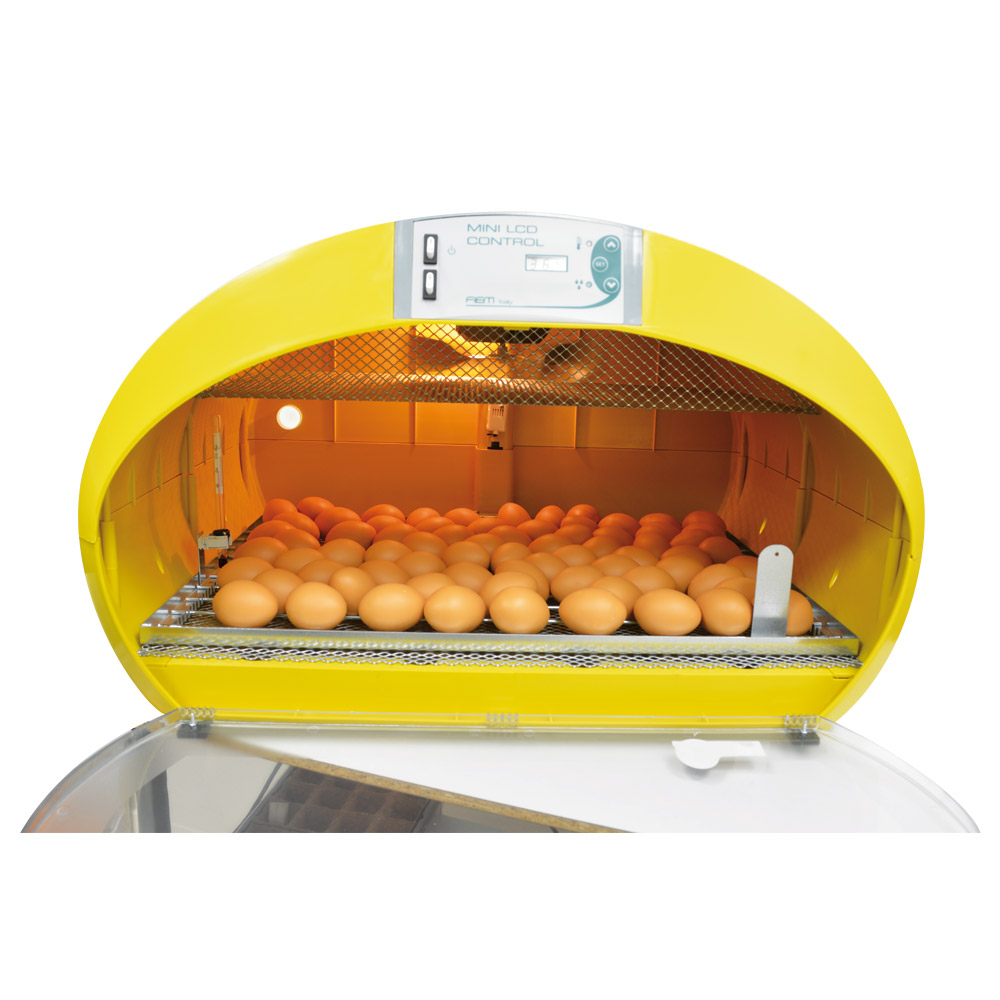 Couveuse automatique 70 oeufs
