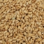 Riz Paddy 18 kg